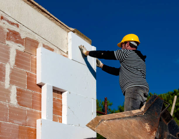 Best Professional Insulation Contractor  in Salton City, CA