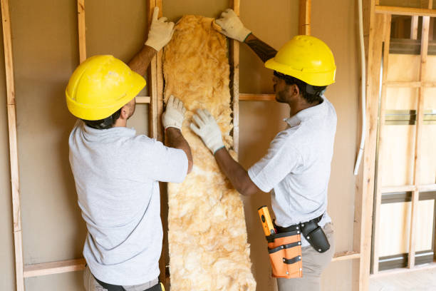 Best Insulation for New Construction  in Salton City, CA