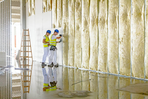 Best Crawl Space Insulation  in Salton City, CA